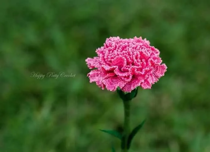 Carnation Flower/Цветок гвоздики (HappyPattyCrochet)
