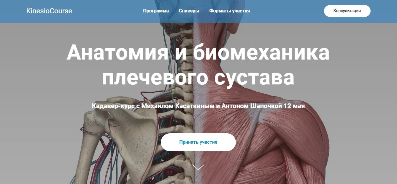 [kineziocourse] Анатомия и биомеханика плечевого сустава (Михаил Касаткин, Антон Шапочка)