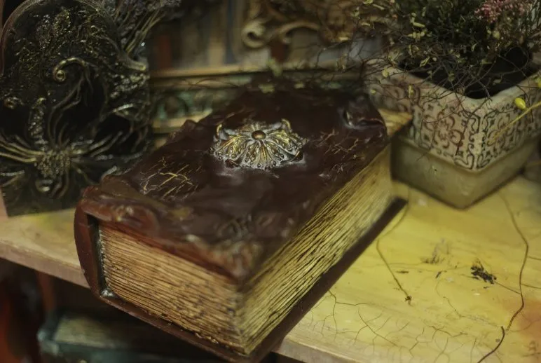 Видео мастер-класс «Таинственная книга Фолиант» (Наталья Каримова)