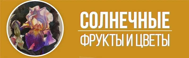 [Art Shima] Солнечные фрукты и цветы (Анастасия Шимшилашвили)