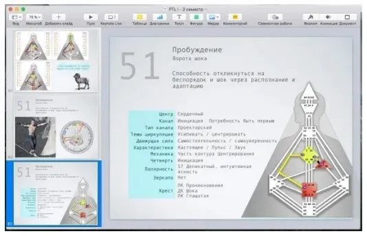 [Дизайн Человека] Курс «PTL I» месяц 4 (Виктор Крючков)