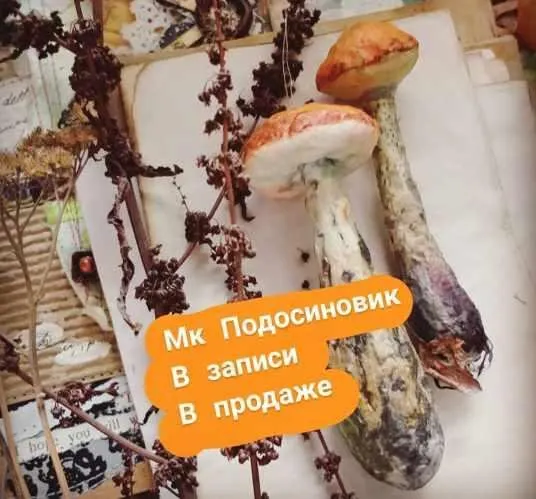 Ватная игрушка «Подосиновик» (Елена Маркелова)