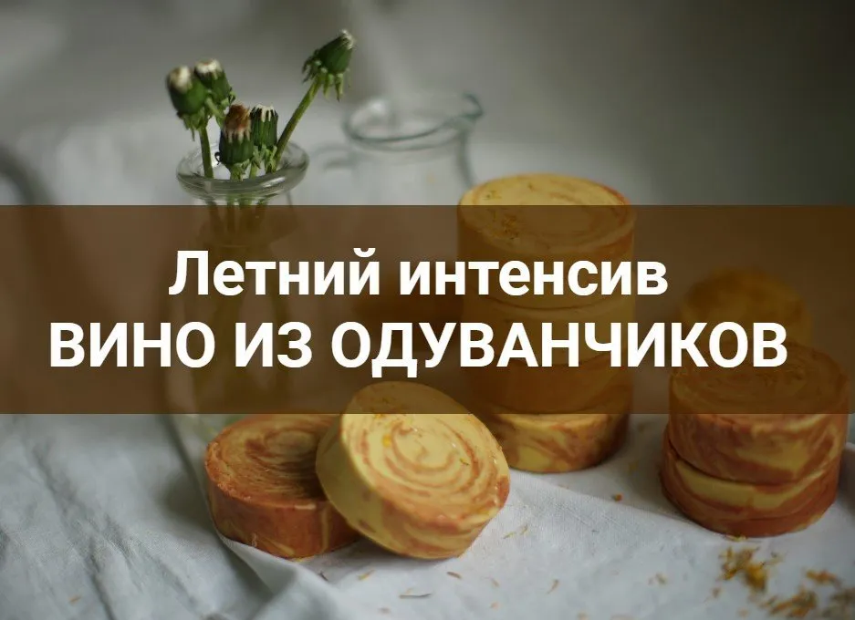 [lorasamsoap] Летний интенсив «Вино из одуванчиков» (Лора Самкова)