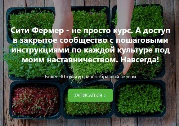 Сити Фермер: Свежая микрозелень у вас дома за одну неделю (Михаил Попов)