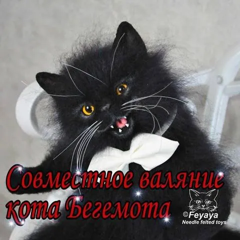 Совместное валяние кота Бегемота (Ольга feyaya) @feyaya1