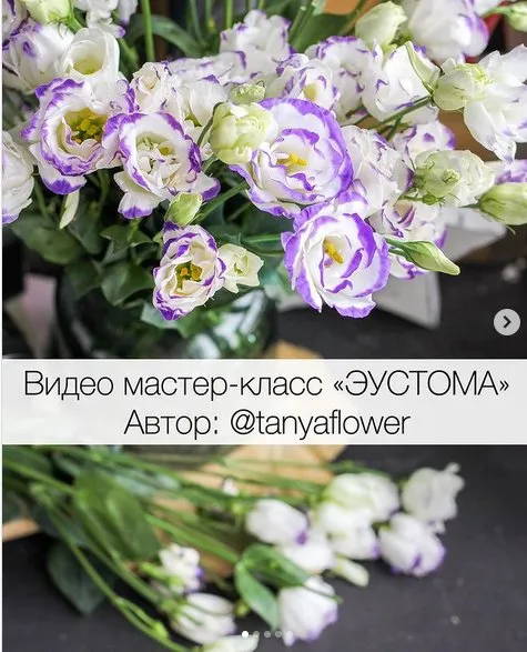 Видео мастер-класс «Эустома» (tanyaflower)