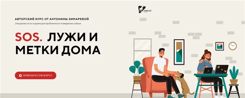 [kinologschool] Sos. Лужи и метки дома (Антонина Зимарева)