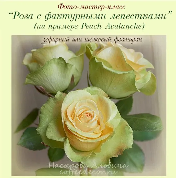 Фото-мастер-класс «Роза с фактурными лепестками» на примере Peach Avalanche. Зефирный или шелковый фоамиран (Альбина Насырова)