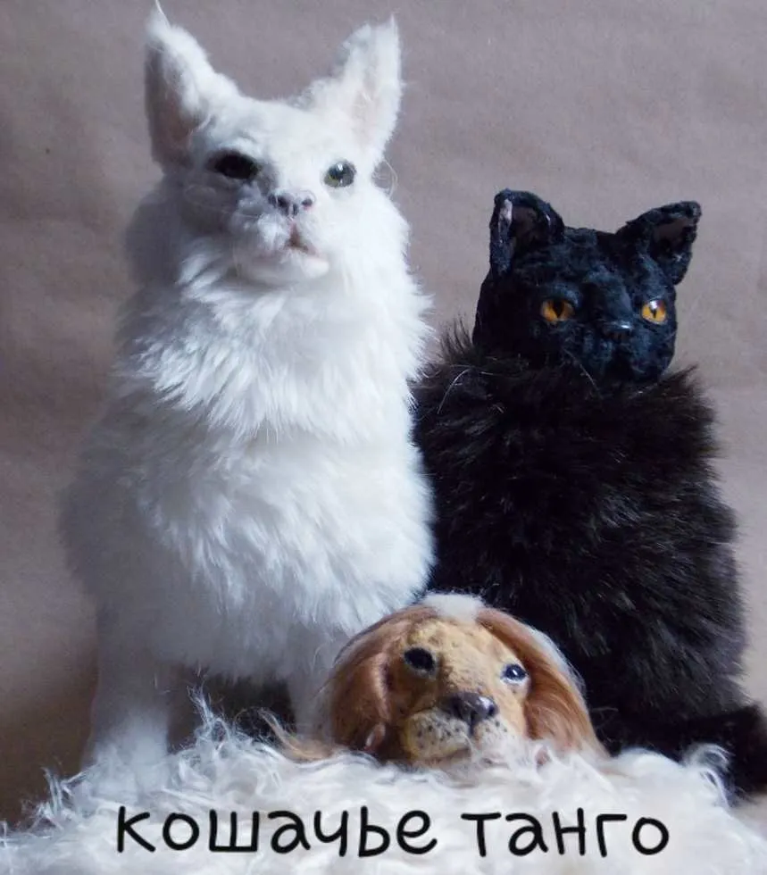 Кошачье танго (Анна Степанова)