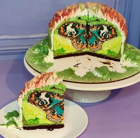 Мастер-класс в технике cakeinside и тема «Бабочки и весна» (Евгения Кизленко)