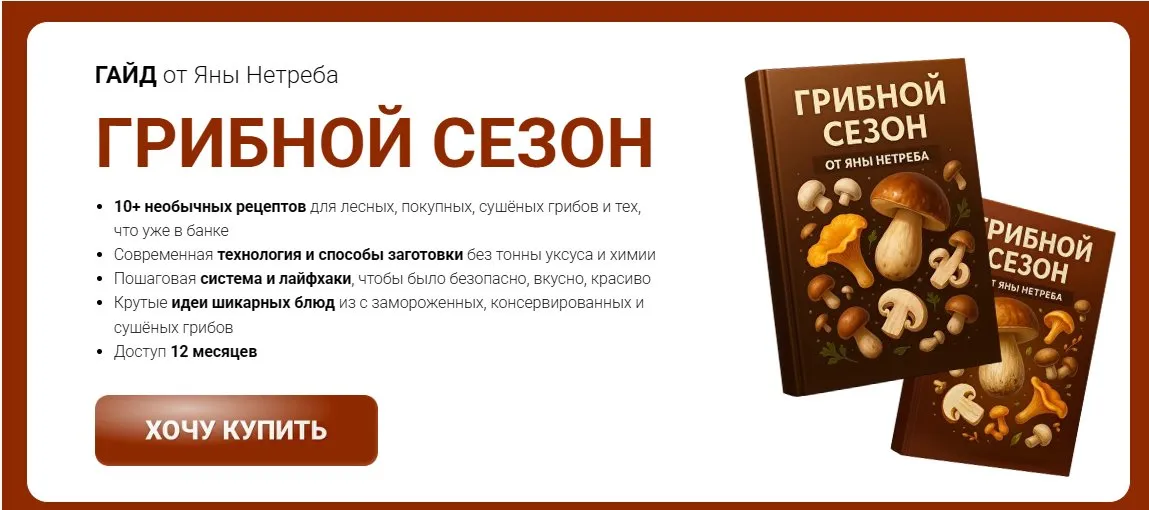 [Labfood] Гайд Грибной сезон (Яна Нетреба)