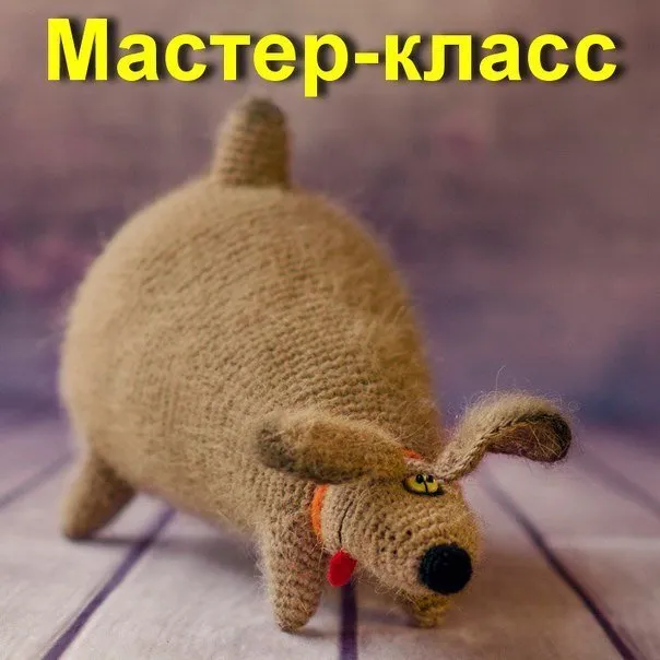Собака-Некусака Крючок (Анна Карелина)
