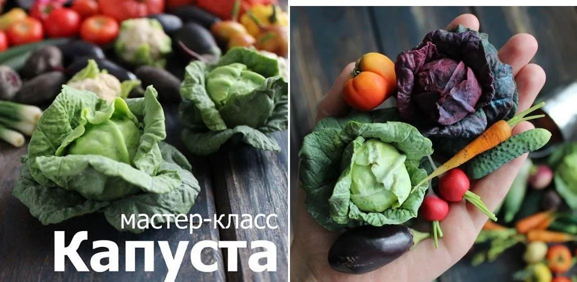 Мастер-класс Капуста (fruityclay)