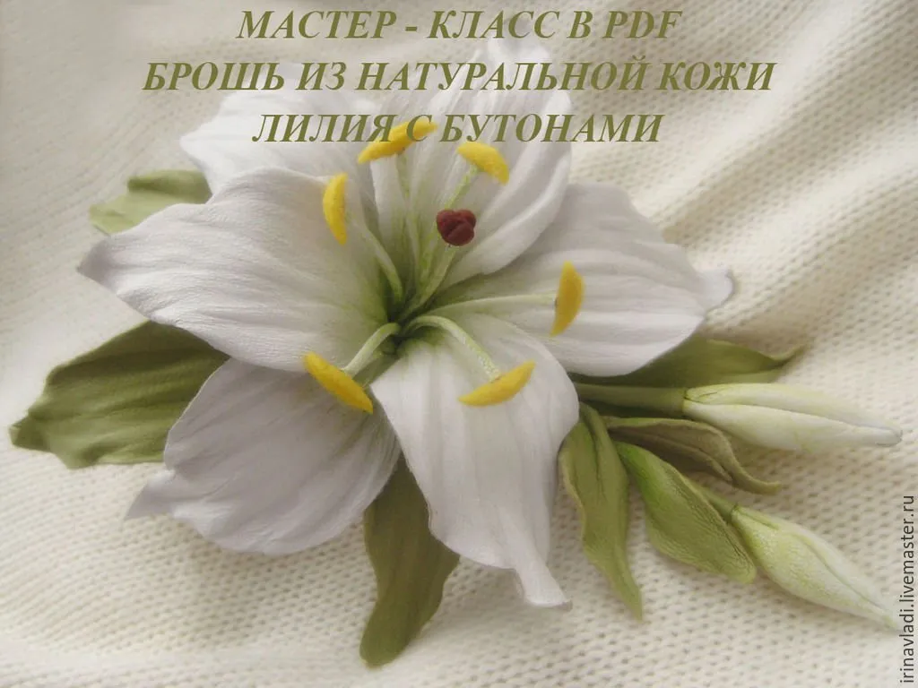 Лилия с бутонами (Ирина Влади)