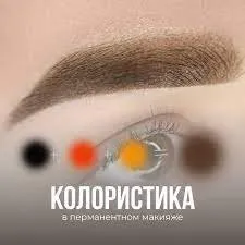 Мастер-класс. Колористика (Анна Куцеволова)