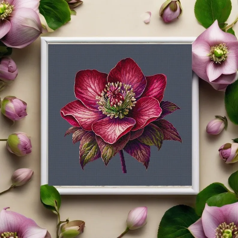 Цветочная схема для вышивки крестом - Дизайн постной розы Lenten Rose (yermakova.cross_stitch)