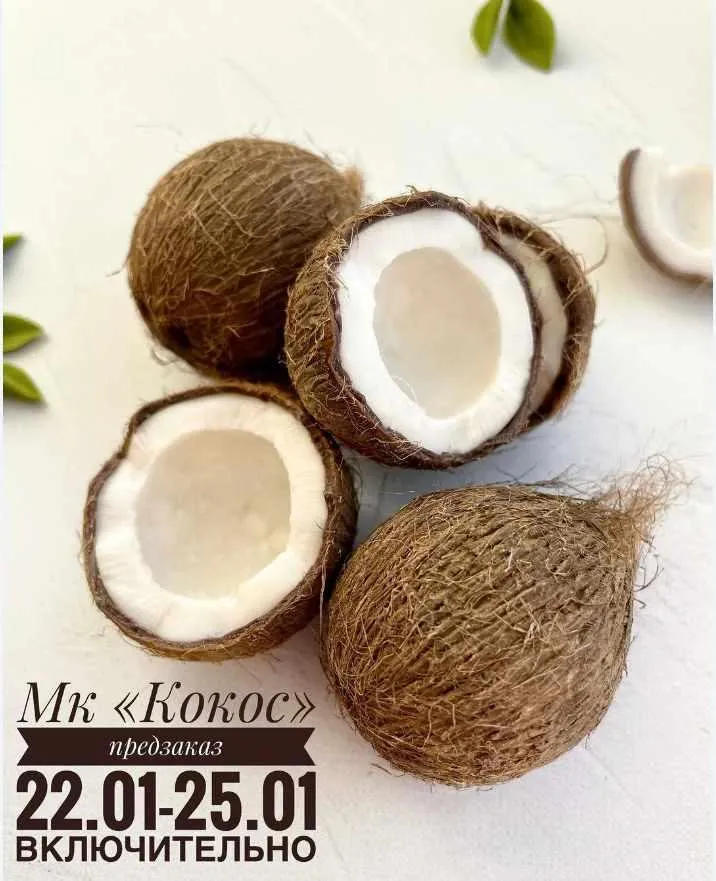[lep_ot_a] Кокос (Александра Мочульская)