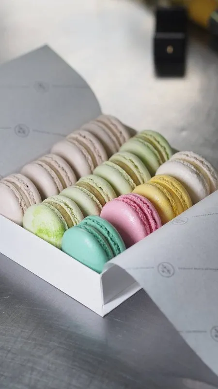 Macaron 2.0 + Holiday Edition (Таня Силаева)