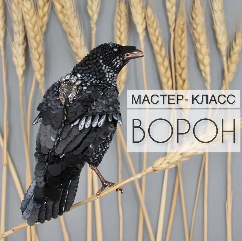 Ворон (Элина Жук)