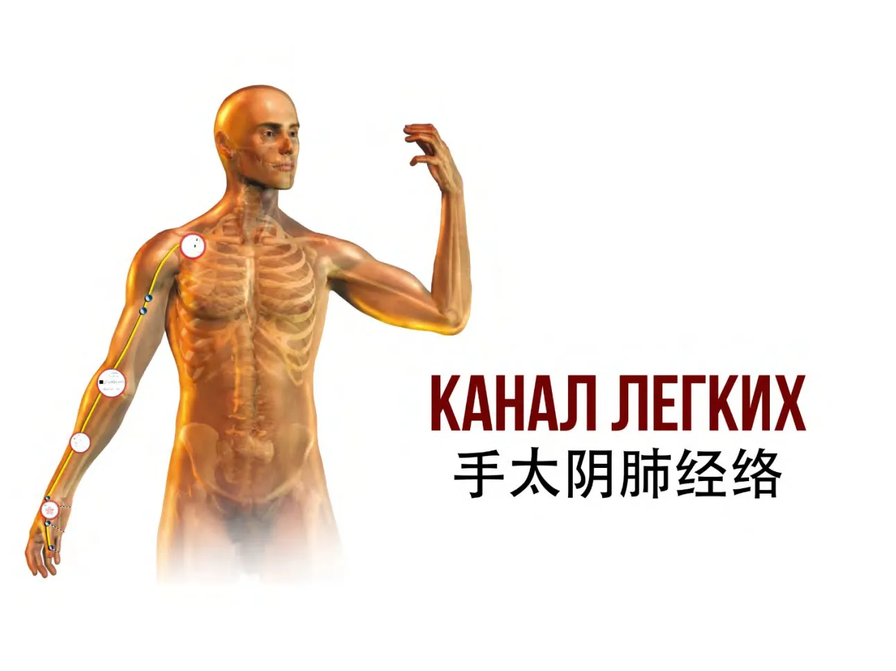 [Неоглори] Сам себе доктор