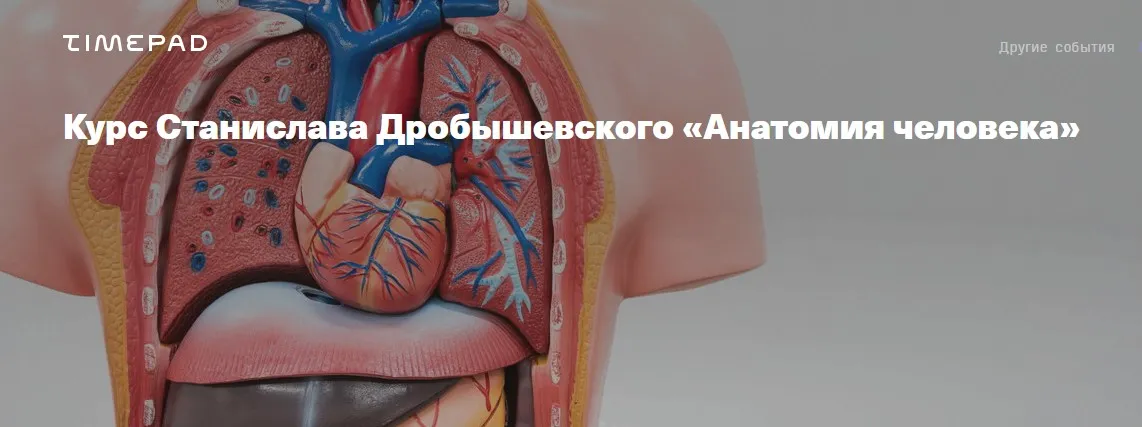 [Архэ] Анатомия человека 2024. Соединения костей (Станислав Дробышевский)