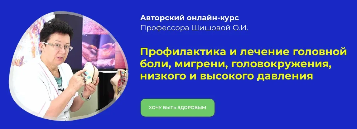 Профилактика и лечение головной боли, мигрени, головокружения, давления (Ольга Шишова)
