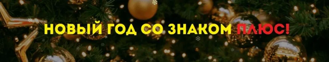 Новый год со знаком плюс (Нинель Смолина)