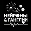 Базовый курс по нейрорадиологии Нейроны и ганглии (Дмитрий Бойко, Денис Сашин)