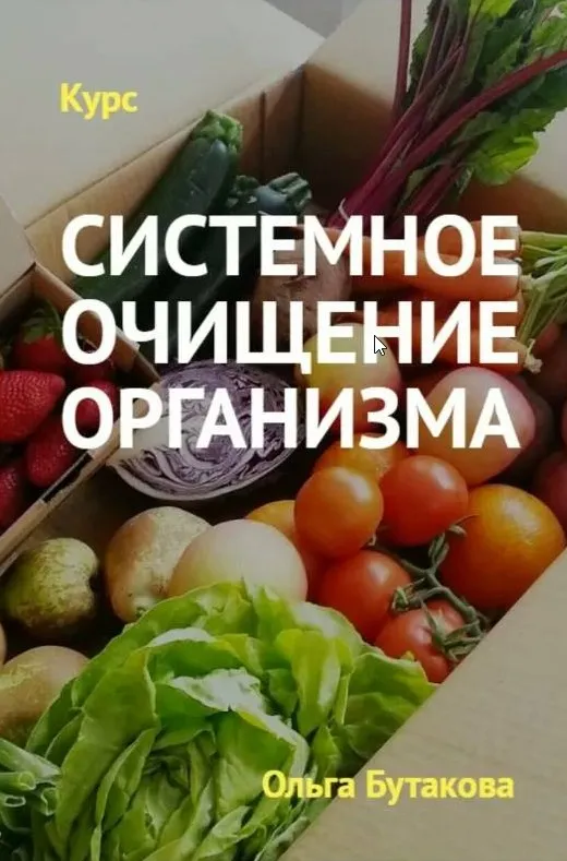 2-й шаг к твоему здоровью: Системное очищение организма 2.0 (Ольга Бутакова)