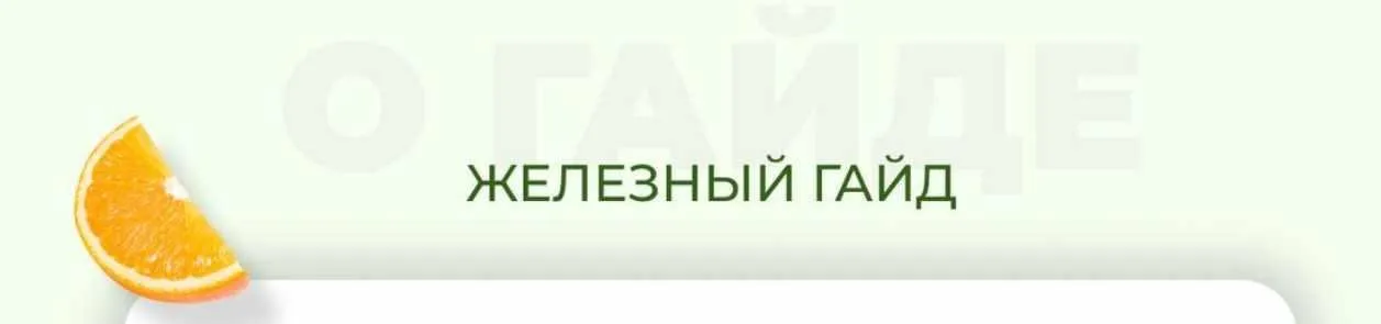 Железный гайд (Софья Литошенко)