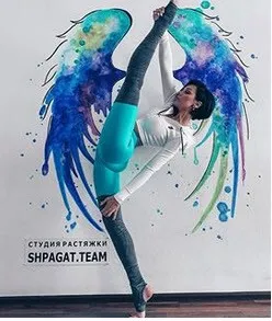 Разбор ошибок в растяжке. Как тренироваться дома правильно (shpagat.team)