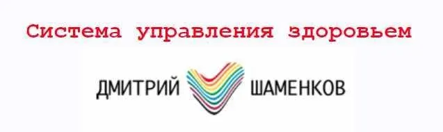 Система управления здоровьем 2013 (Дмитрий Шаменков)