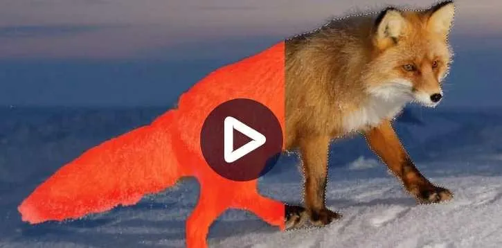 Adobe Photoshop: Базовые команды и инструменты выделения (Андрей Журавлев)
