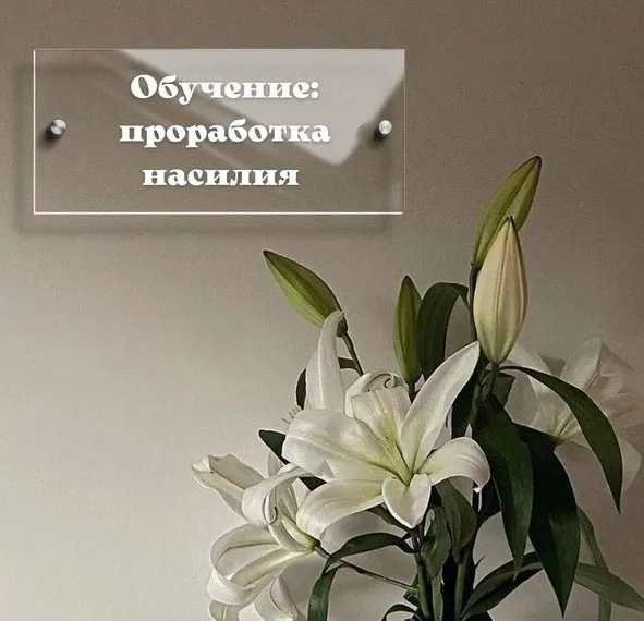 Проработка насилия (Александра Рыжова)