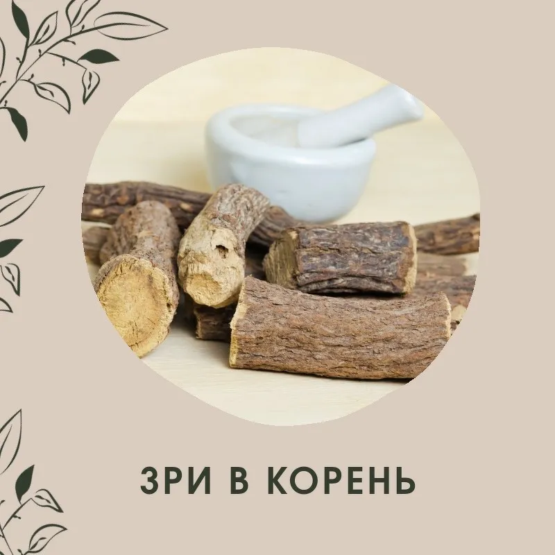 Зри в корень, или всё о пользе корней (Ольга Данилюк)