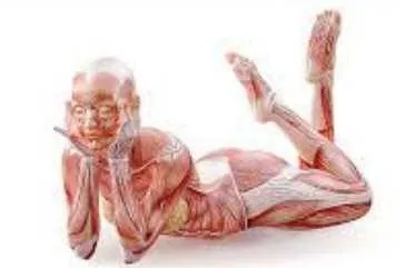 30-ти дневная оздоровительная программа с командой нейроактивации [neuro.activation]