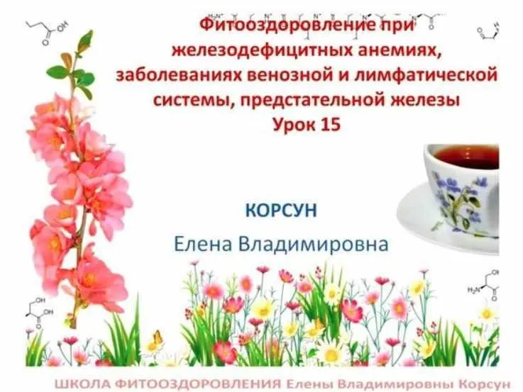 Фитооздоровление при заболеваниях лимфатической, венозной систем, анемия, простата (Елена Корсун)