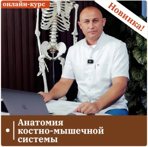 [ККПК] Анатомия костно-мышечной системы (Антон Циванюк)