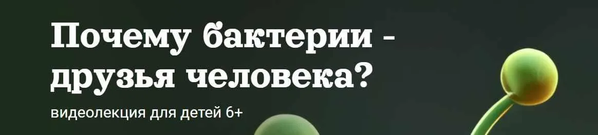 Почему бактерии - друзья человека? (Александр Толмачёв)