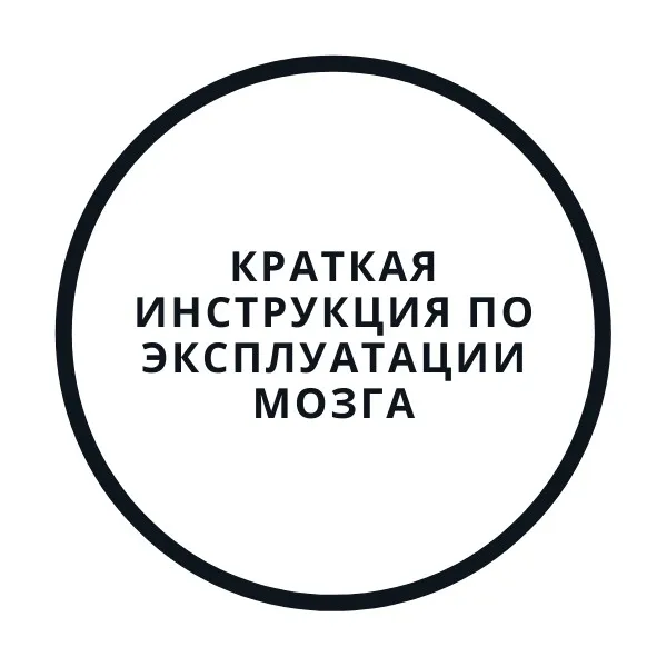 Краткая инструкция по эксплуатации мозга (Василий Смирнов)