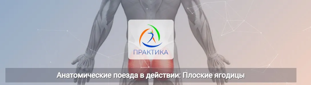 [Центр Практика] Анатомические поезда в действии: Плоские ягодицы (Анна Щербина)