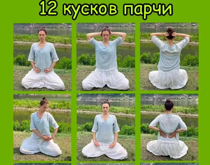 Древний комплекс Цигун 12 Кусков Парчи (Дарья Патока)