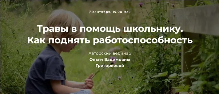 Травы в помощь школьнику. Как поднять работоспособность (Ольга Григорьева)