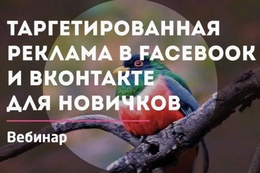 [Convert Monster] Реклама в Facebook и Вконтакте (Антон Петроченков)