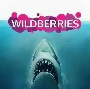Акулы Wildberries (Иван Куриленко)