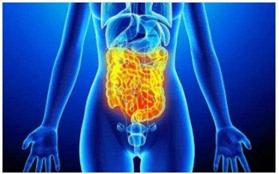 [Sigh Energy] Процесс восстановления кишечника. Intestine Restoration Process Powerful Plus +11x(Extra Strong)