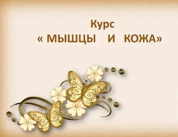 Мышцы и кожа (Светлана Соковикова)