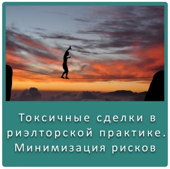 Токсичные сделки в риэлторской практике. Минимизация возможных рисков (Вадим Шабалин, Максим Гранат, Сергей Прокофьев)