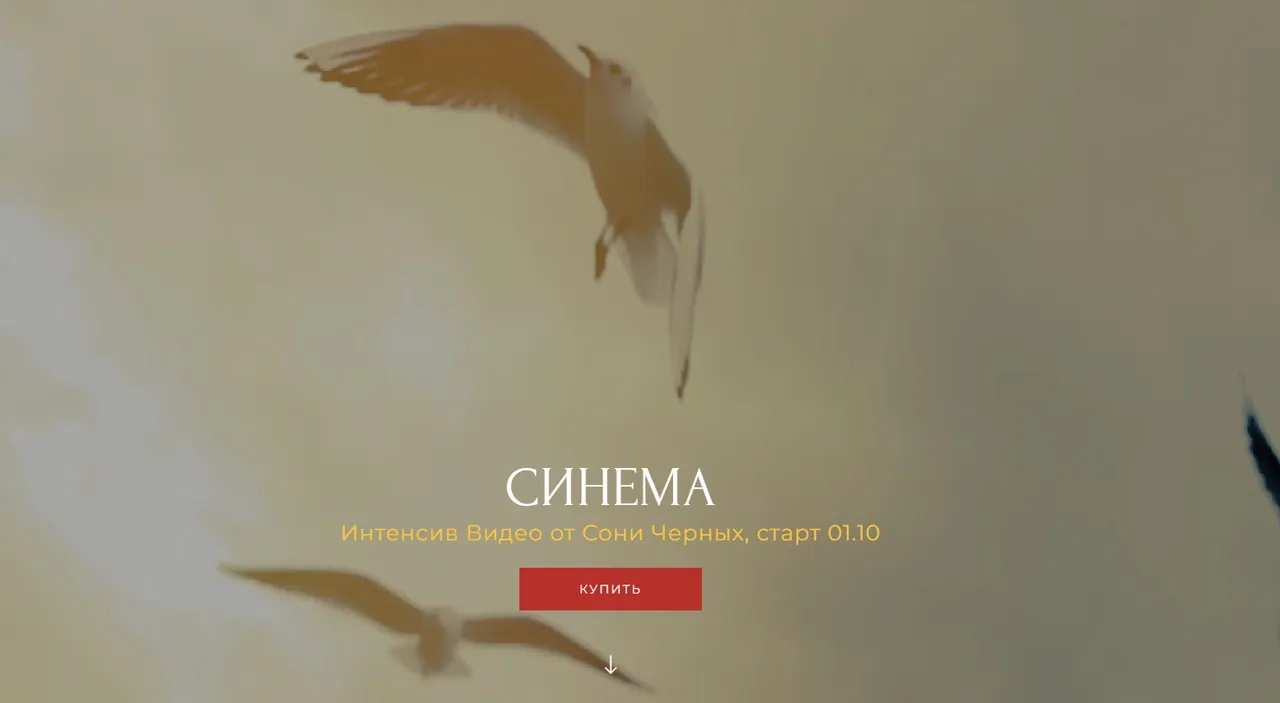 Синема. Тариф 1 Фримен (Соня Черных)
