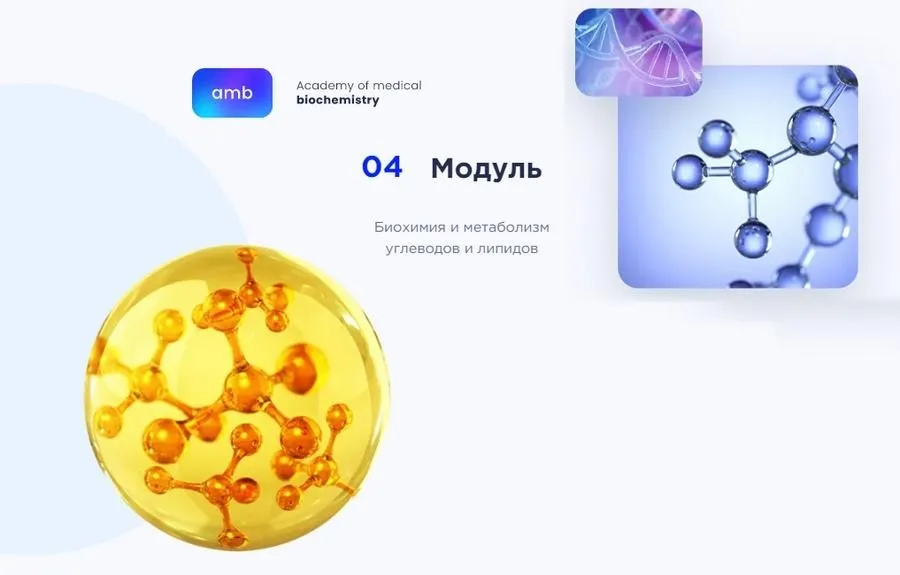 [amb] Основы биохимии. 4 модуль. Биохимия и метаболизм углеводов и липидов (Елизавета Радевич)